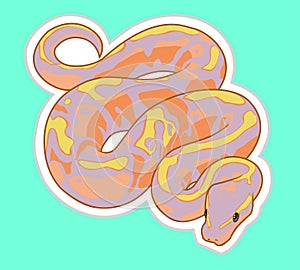 illustration vector ball python for sticker