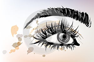 Illustration vector of beautiful eye makeup and brow