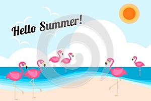 Illustration vector of cute flamingos on the beach.