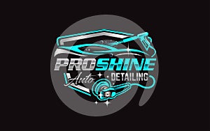 Illustration vector graphic of auto detailing servis logo design template-05