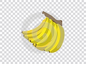 Illustration vector graphic of bunch of bananas isolated on transparent background. Transparent grid. vector illustrations