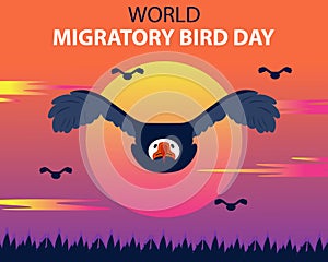illustration vector graphic of Eagles migrate in groups in the afternoon, showing sunrise photo