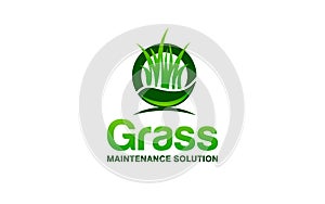 Illustration vector graphic of grass, lawn care, landscape concept logo design template