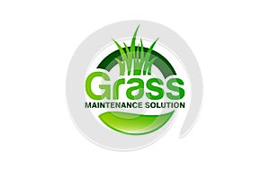 Illustration vector graphic of grass, lawn care, landscape concept logo design template