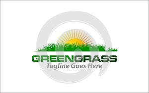 Illustration vector graphic of lawn care, landscape, grass concept logo design template