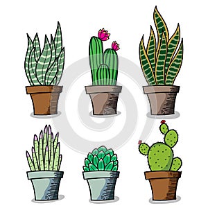 Illustration vector graphic of set pack cactus and suculent flowers