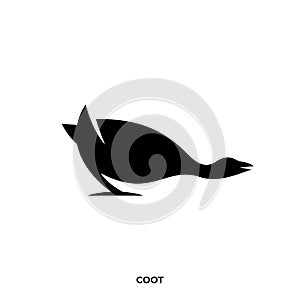 Coot silhouette logo