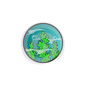 Illustration vector seaweed in white background