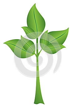 Illustration vector - small green plant