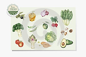 Illustration of veggies drawing style