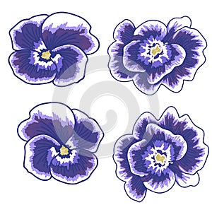 Illustration of a violet flower on a white background. isolated violet object. vector illustration