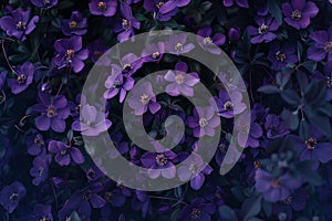 illustration of violett flowers background. Generative AI