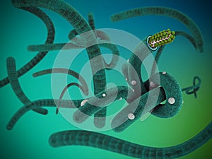 Illustration of virus like ebola on gradient background
