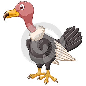 Illustration of a vulture on a white background