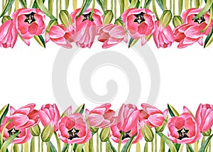 Illustration of watercolor hand drawn frame with pink tulips, isolated on white background. Spring floral postcard