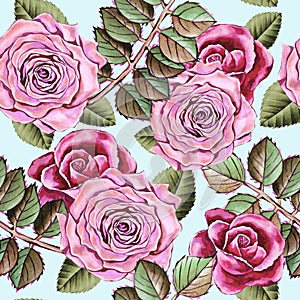 Illustration of watercolor hand drawn pattern with colorful pink roses and leaves. Romantic flowers, blooming, floral background