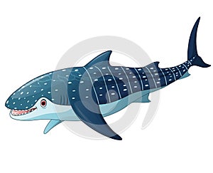 Illustration of whaleshark