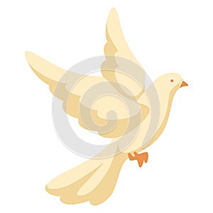 Illustration of white dove. Pigeon faith and love symbol.