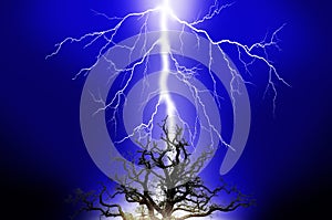 Lightning hitting a tree