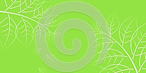 Illustration of white line leaves on green background