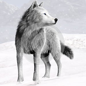 Illustration of a White wild wolf with blue eyes and winter background