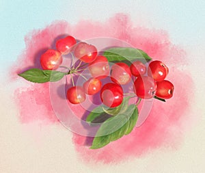 Illustration of wild red fruits