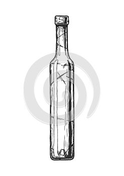 Illustration of Wine bottle.