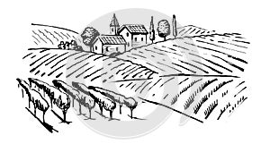 Illustration of wineyard photo