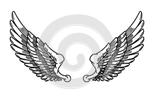 illustration of wings in tattoo style isolated on white background. Design element for logo, label, badge, sign.