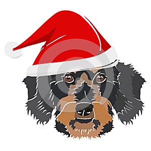 Illustration wire-haired dachshund with red Christmas hat