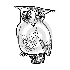Illustration of a wise owl. Black and white graphics, well suited for children`s publications, registration of children`s products