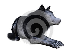 Illustration of a wolf with black and white fur resting isolated on a white background