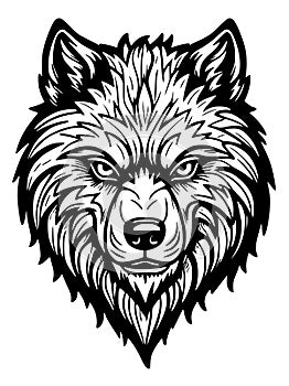 illustration of wolf head