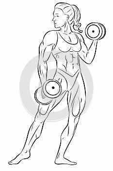 Illustration of woman bodybuilder , vector drawing