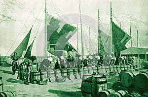 Illustration of women packing herrings