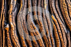 Illustration of wooden background texture