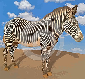 Illustration of a zebra and blue sky