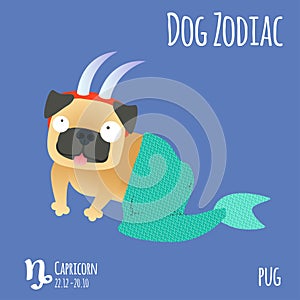 Illustration of a zodiac sign with a funny dog. Pug Capricorn