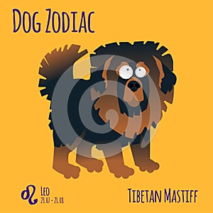 Illustration of a zodiac sign with a funny dog. Tibetan Mastiff Leo