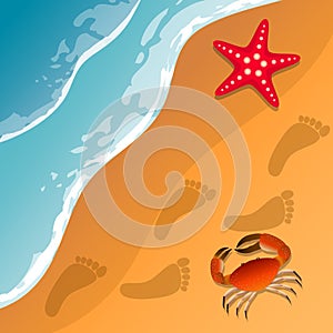 Illustrations at the beach theme. Summer vacation by the sea. Crab and starfish on the sand. Sea surf .