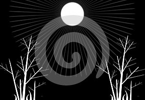 The illustrations and clipart. Abstract image. A moonlight in dark night, black and white cartoon image
