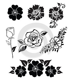 Illustrations of flowers