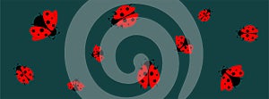 Illustrated Ladybird bugs crawling across a dark green background- Facebook cover