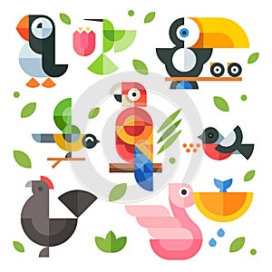 Illustrazioni birdwatching un cuccioli 