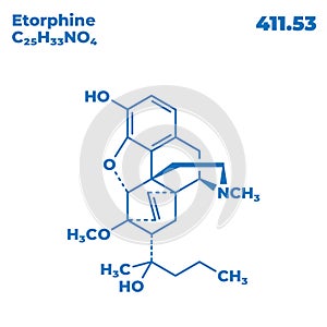 The illustrations molecular structure of Etorphine