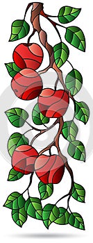 An illustrations of stained glass Windows with tree branches, Apple tree branch with ripe fruit and leaves
