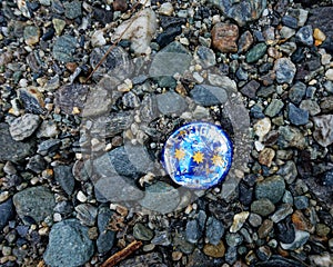 Illustrative editorial: Speights beer bottle top trodden into a stony beach, west coast, New Zealand