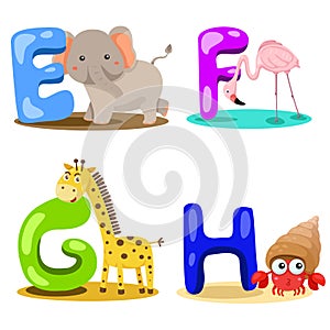 Illustrator alphabet animal LETTER - e,f,g,h
