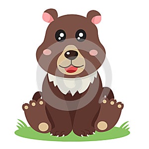 Illustrator of bear animal cute