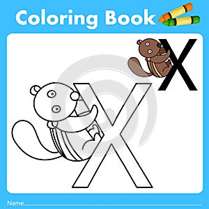 Illustrator of color book with xerus animal